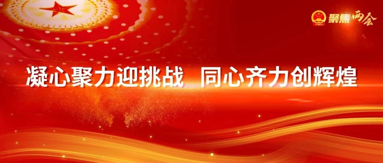 毛伟明董事长在十三届全国人大三次会议代表团分组审议发言时表示 凝心聚力迎挑战 同心齐力创辉煌