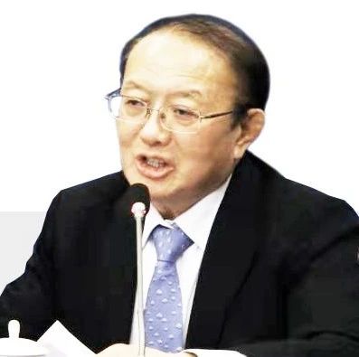 两会观察 | 商务部原副部长魏建国：没有GDP指标，但目标更明确任务更艰巨【走出去智库】
