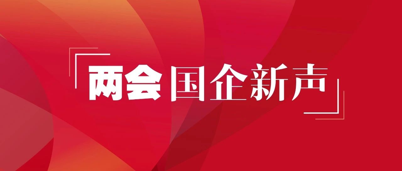 两会国企新声第四辑：稳定产业链供应链 激发经济发展新动能