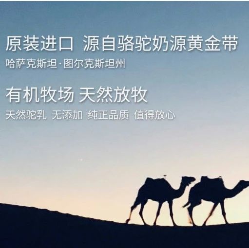 大庆企业踏一带一路出发 产品搭中欧班列回家