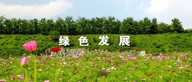 在那青山绿水间：中央企业深耕生态文明厚植民生福祉