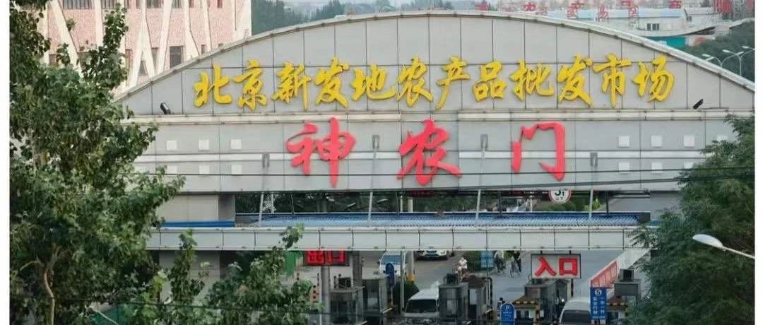 疫情暴发点为何指向批发市场？北京如何做到“可防可控”？疾控专家详解