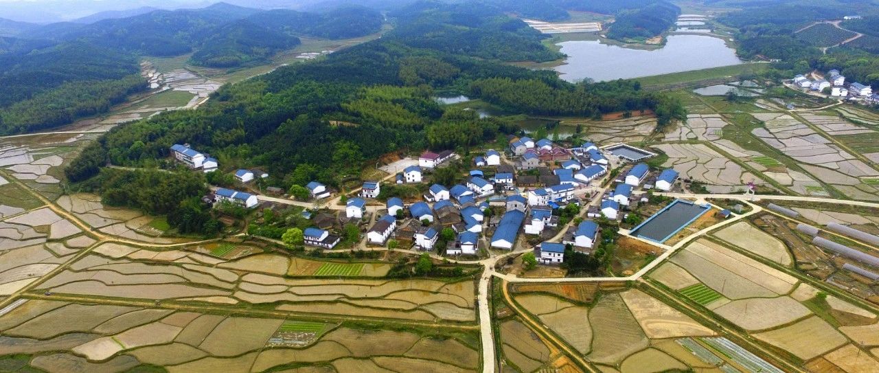 温铁军：大疫止于村野！