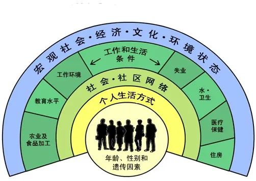 健康的社会决定因素.