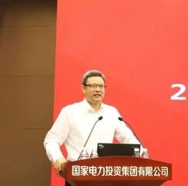 国家电投上半年净利润逆势大增57%，清洁能源装机超51%