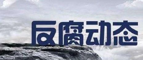 吉林省能源局原党组书记、局长罗亦非接受纪律审查和监察调查