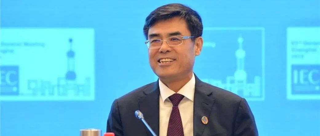 舒印彪委员：以国际标准推动高质量发展