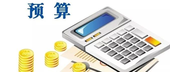 2020年县级基本财力保障机制奖补资金预算下达