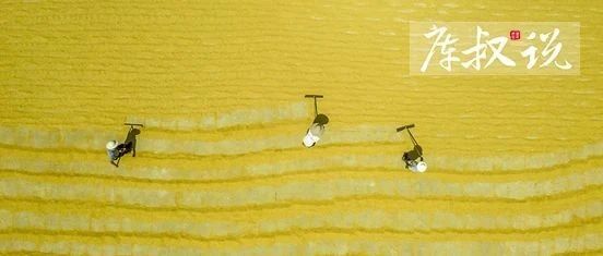 拿什么稳住发展全局？美国、俄罗斯、加拿大都有一个共同特征…