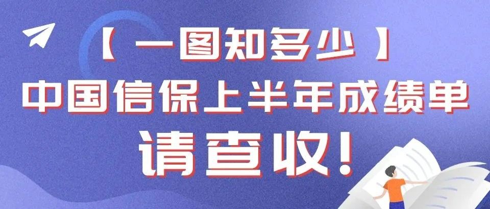 3246.1亿美元！中国信保上半年成绩单来了！