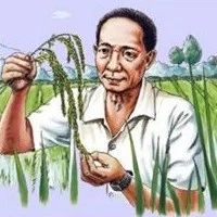 海外丨外媒眼中的袁隆平：为全球粮食安全作出了杰出贡献