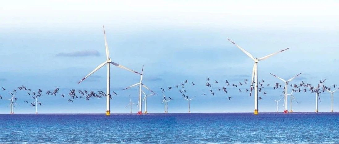丝路关注丨亚洲海上风电发展情况概述