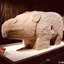 张健勇