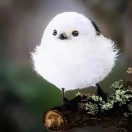 郭宇飞